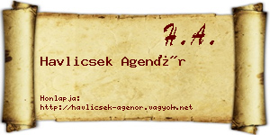 Havlicsek Agenór névjegykártya